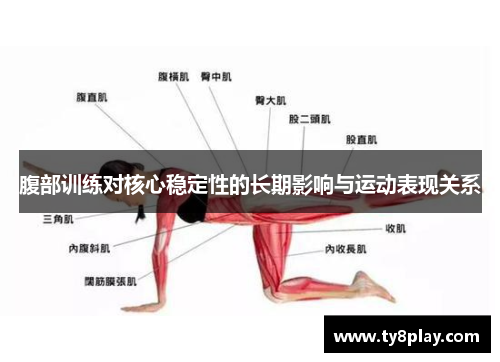 腹部训练对核心稳定性的长期影响与运动表现关系